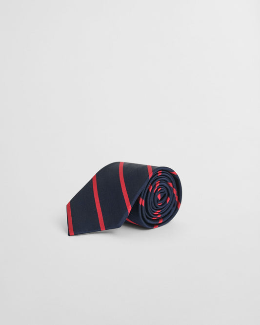 Striped Tie